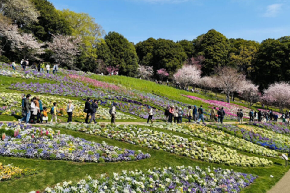 里山ガーデンの風景